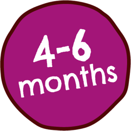 4 - 6 Months